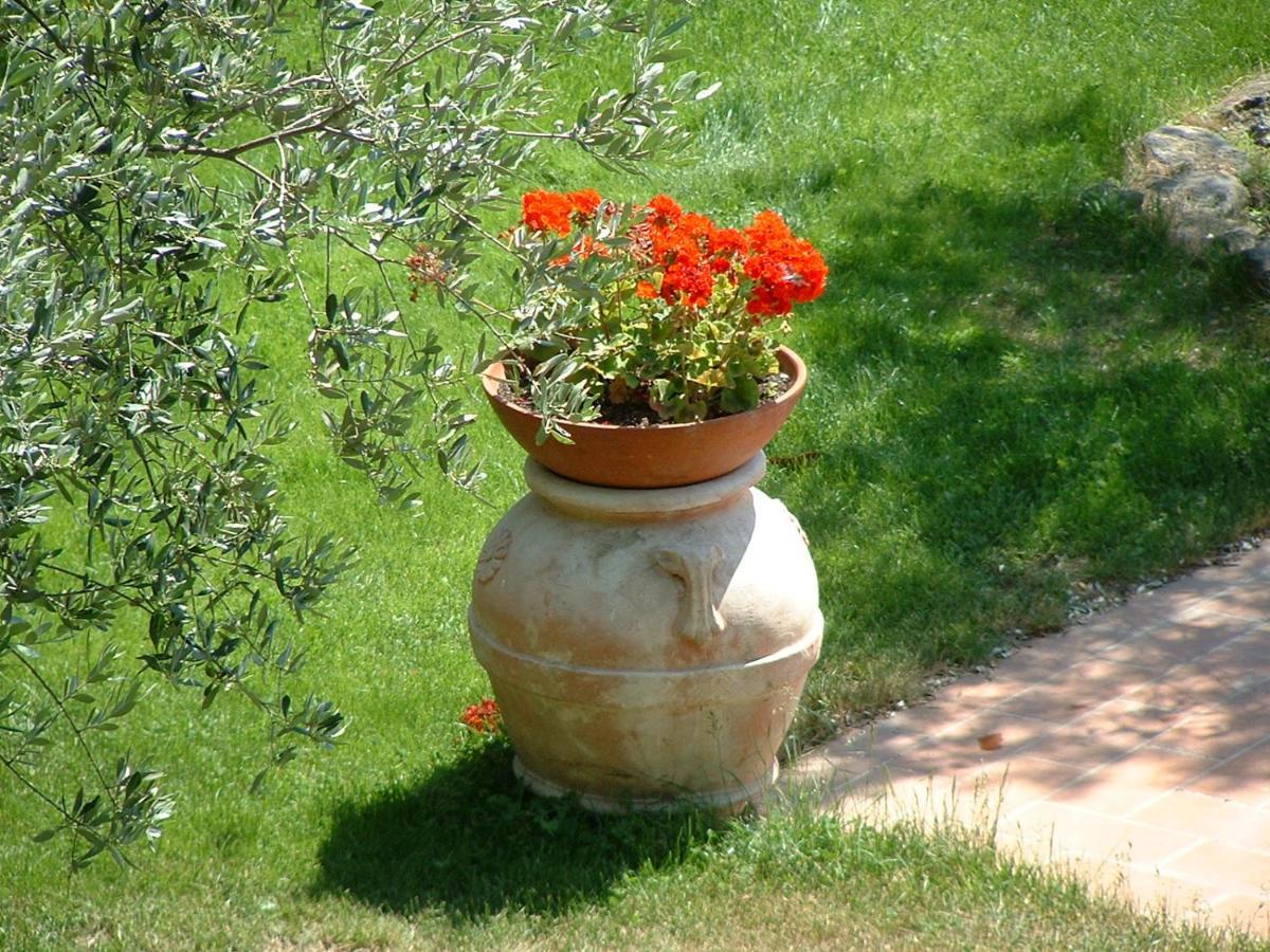 La Riserva Montebello Bolsena Luaran gambar